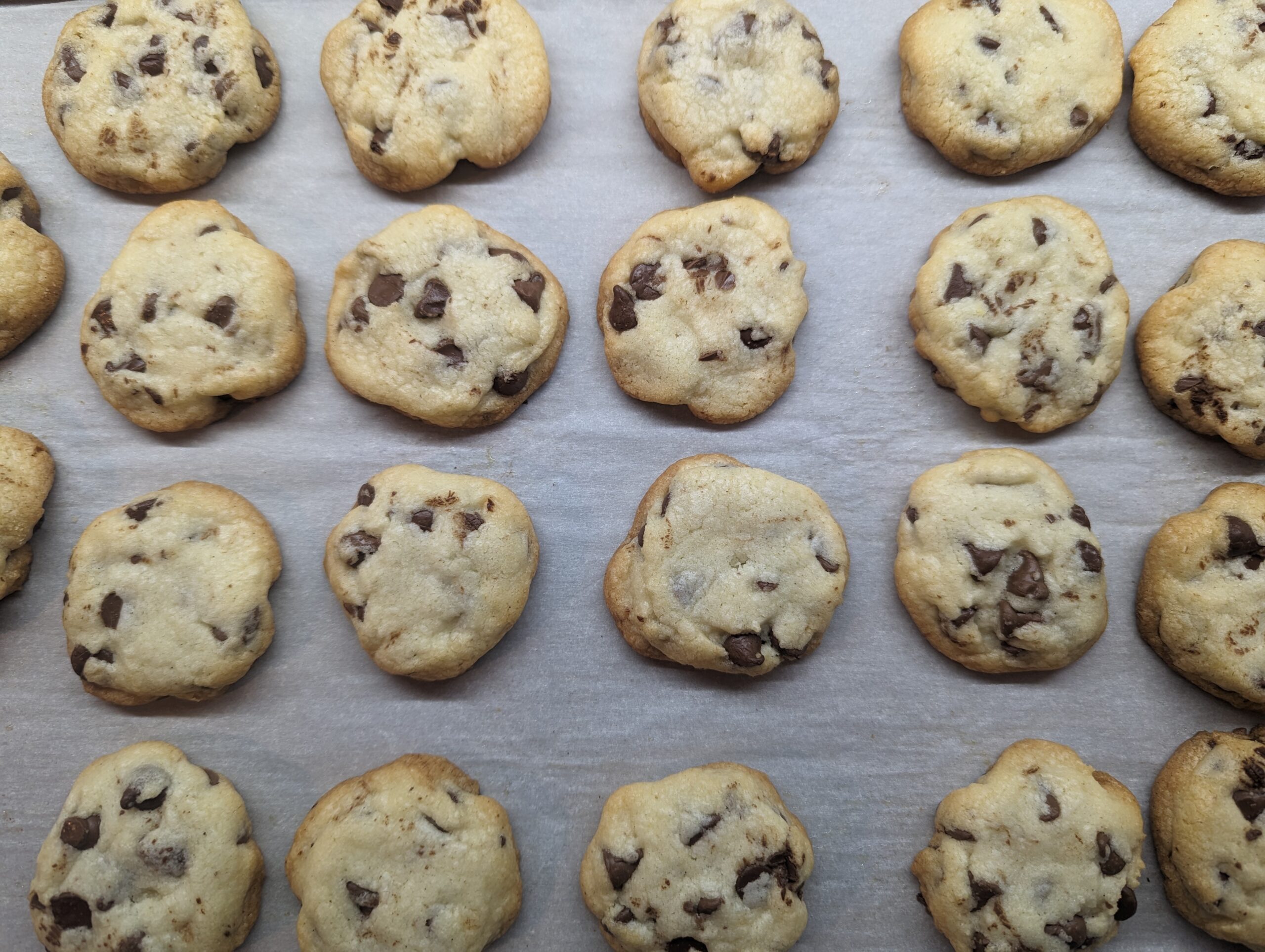 Reviewing Disneyland’s chocolate chip cookie recipe